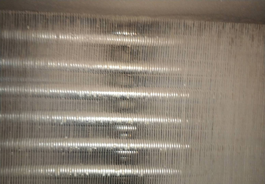 L(fng)C(j)PܳƬϴǰDƬ